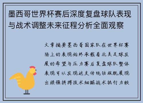 墨西哥世界杯赛后深度复盘球队表现与战术调整未来征程分析全面观察